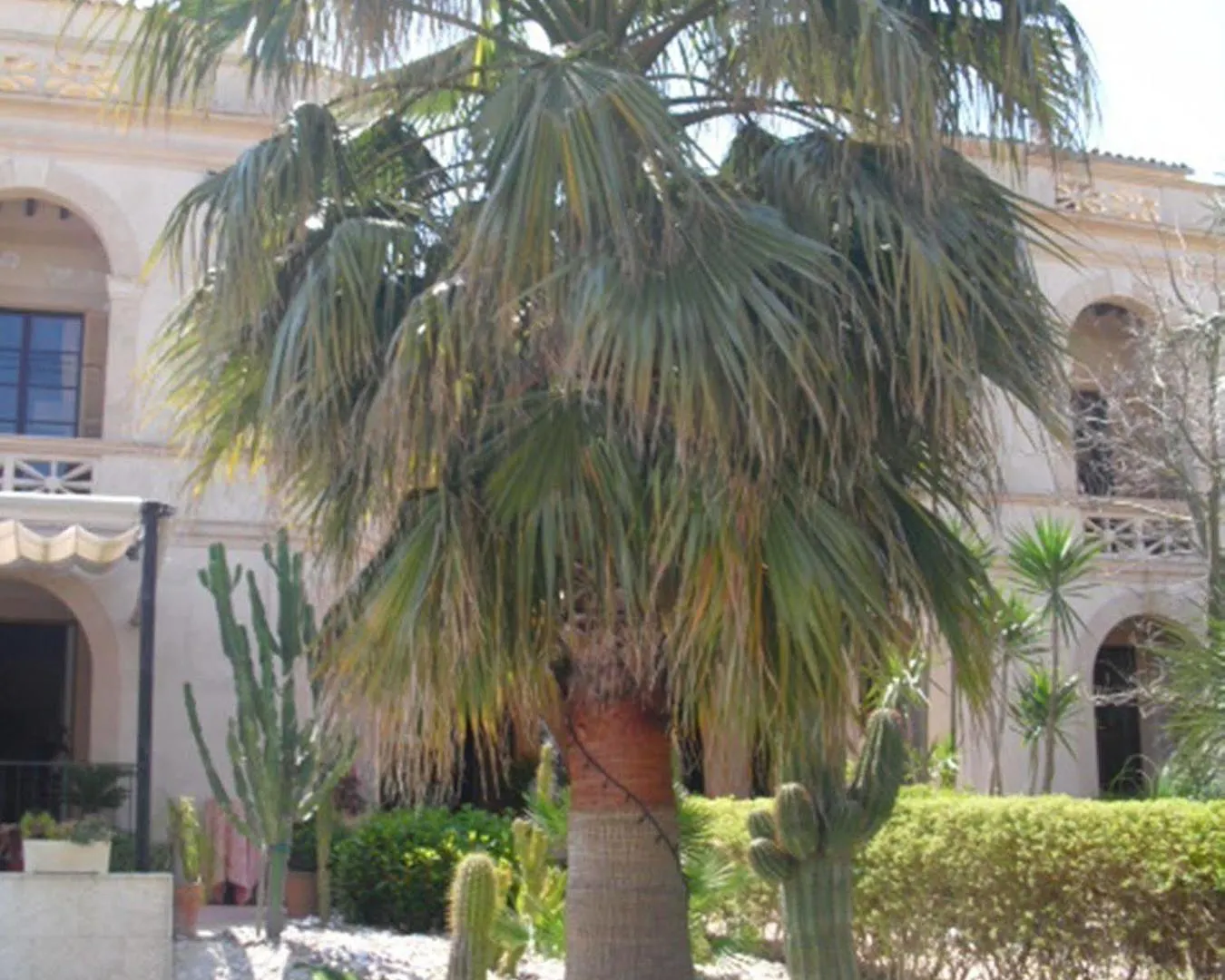 **** Hotel Palacio Sant Salvador Arta Spain